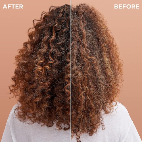 Garnier Whole Blends Coconut Oil & Cocoa Butter Smoothing Shampoo - Frizz Control, 22 Fl Oz, 2 Count