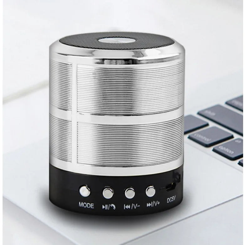 Portable Bluetooth Speaker with FM Radio USB SD Card Rechargable Battery