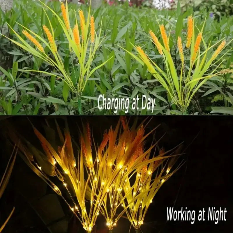 Outdoor Solar Wheat Pathway Lights - Waterproof Dusk-to-Dawn Garden Decor