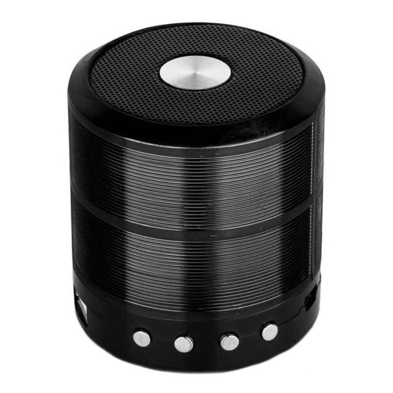 Portable Bluetooth Speaker with FM Radio USB SD Card Rechargable Battery