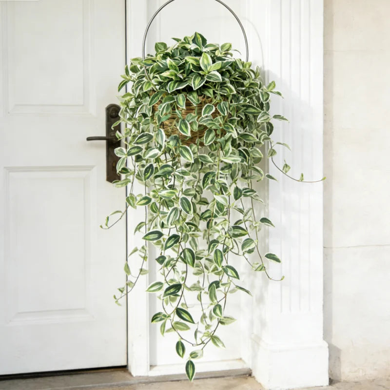 75cm Artificial Wall Hanging Plants Eucalyptus Silk Vines for Home & Wedding Decor