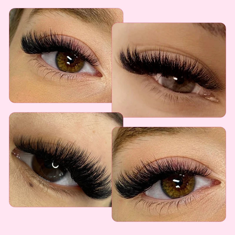 Premade Volume Mink Eyelash Extensions Wide Fans 3D-16D Pointed Base Wholesale