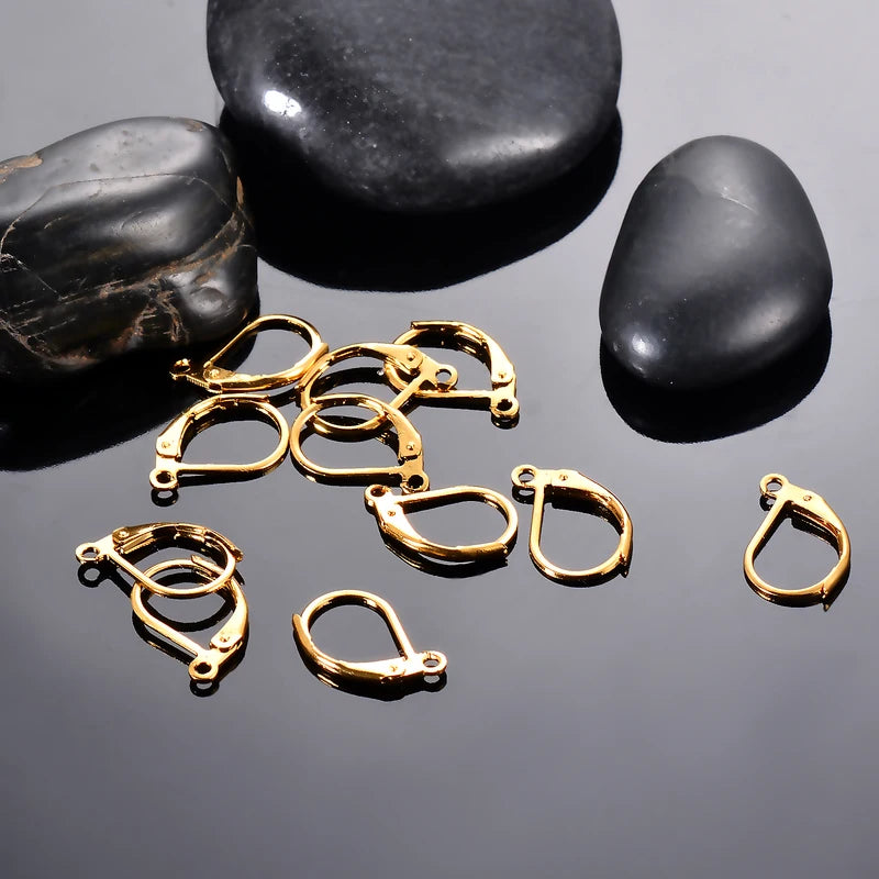 20Pcs Stainless Steel Earring Clasps Hooks for Jewelry Making - Men Women DIY Findings