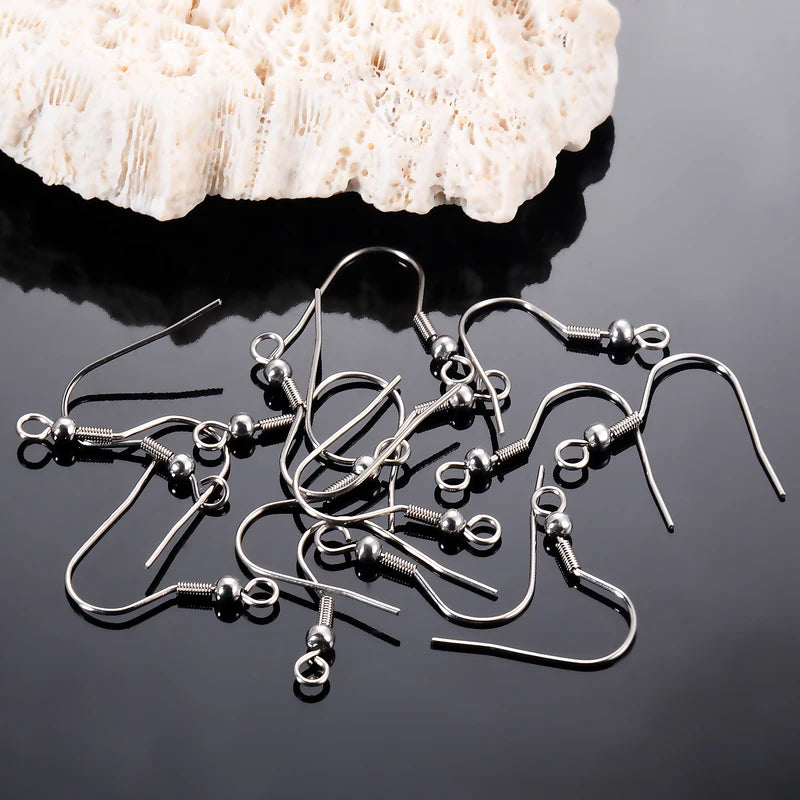 20Pcs Stainless Steel Earring Clasps Hooks for Jewelry Making - Men Women DIY Findings