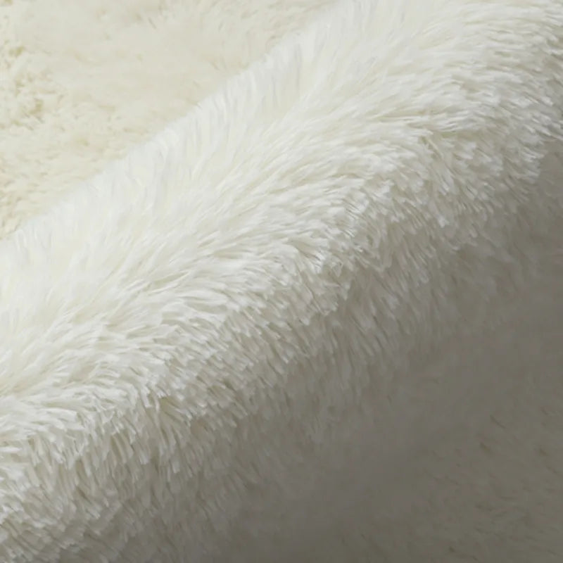 Large Washable Fluffy Rug for Living Room and Bedroom 160x230 cm - Non-Slip Carpet