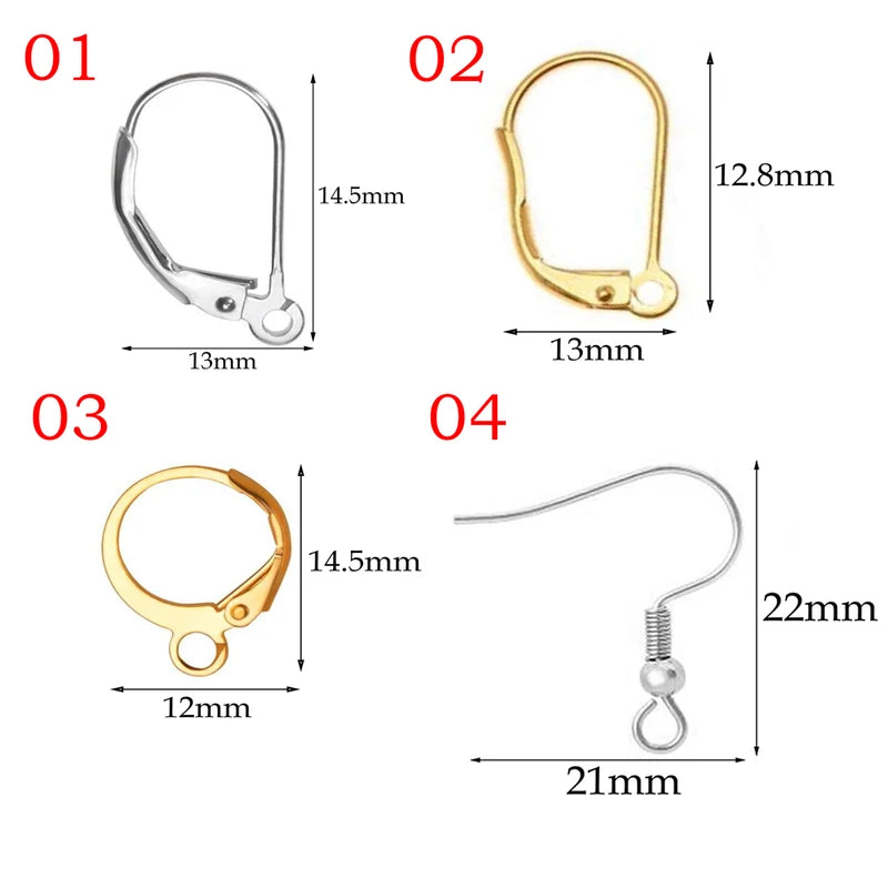 20Pcs Stainless Steel Earring Clasps Hooks for Jewelry Making - Men Women DIY Findings