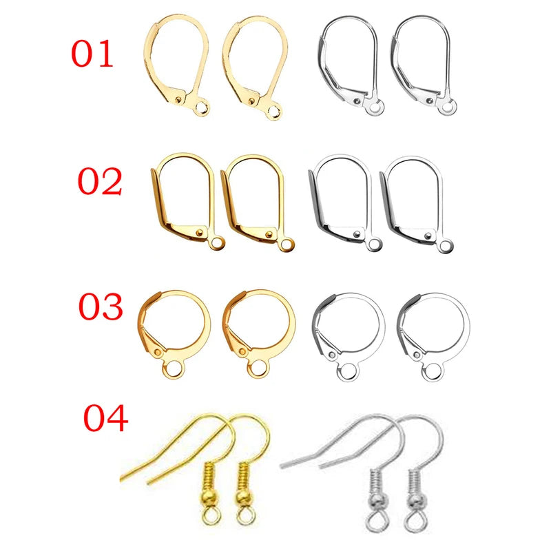 20Pcs Stainless Steel Earring Clasps Hooks for Jewelry Making - Men Women DIY Findings