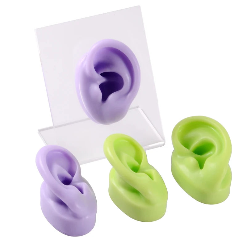 Silicone Ear Model for Piercing Practice & Display - Reusable Body Jewelry Tools