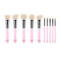 10 Pcs Cat Claw Shape Makeup Brushes Set for Face Eye Contour Blush Powder
