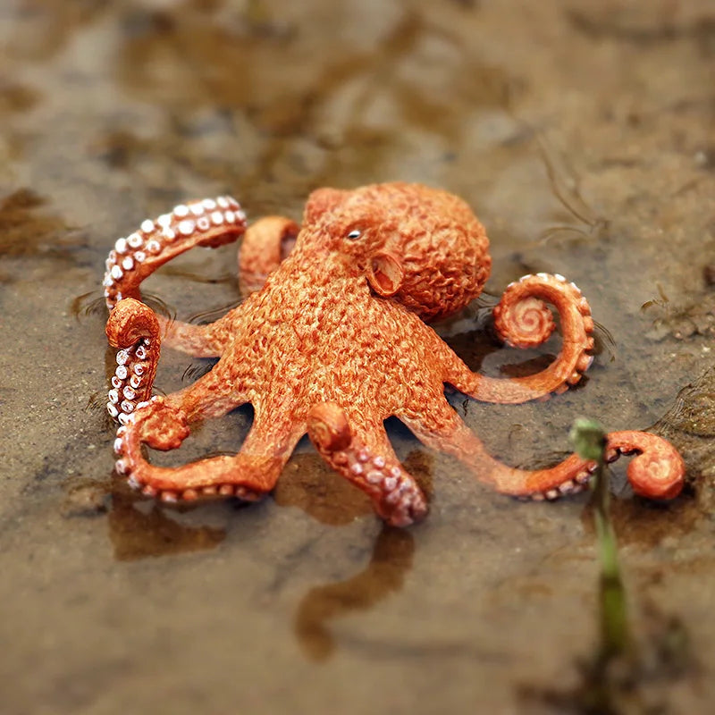 Marine Molluscs Model Action Figure Set – Octopus & Squid Sea Life Educational Toys