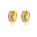 Stainless Steel Cubic Zirconia Hoop Earrings for Women Girls Party Jewelry