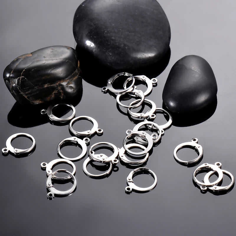 20Pcs Stainless Steel Earring Clasps Hooks for Jewelry Making - Men Women DIY Findings