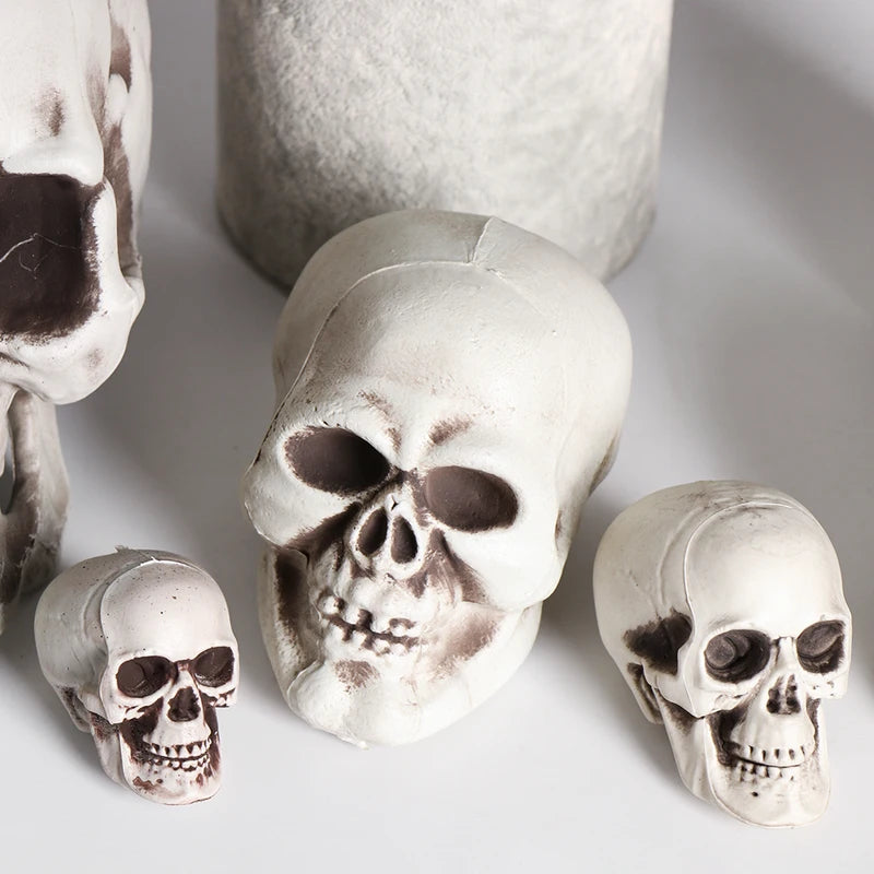 Hanging Human Skull Skeleton Halloween Photo Prop - Multiple Colors
