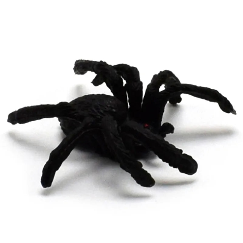 5pcs Small Fake Black Spider Halloween Decoration Haunted House Props