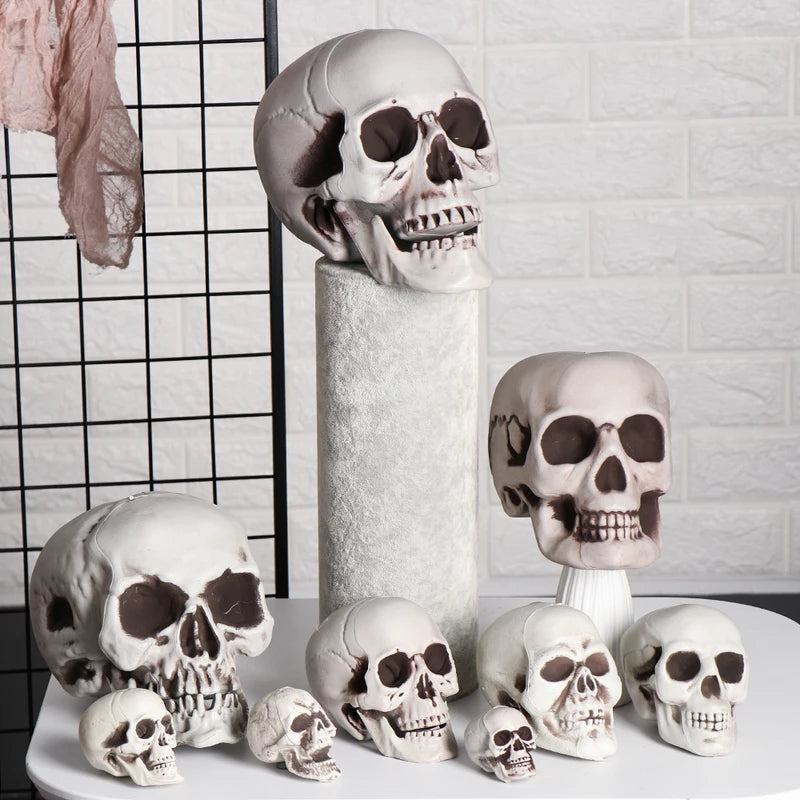 Hanging Human Skull Skeleton Halloween Photo Prop - Multiple Colors