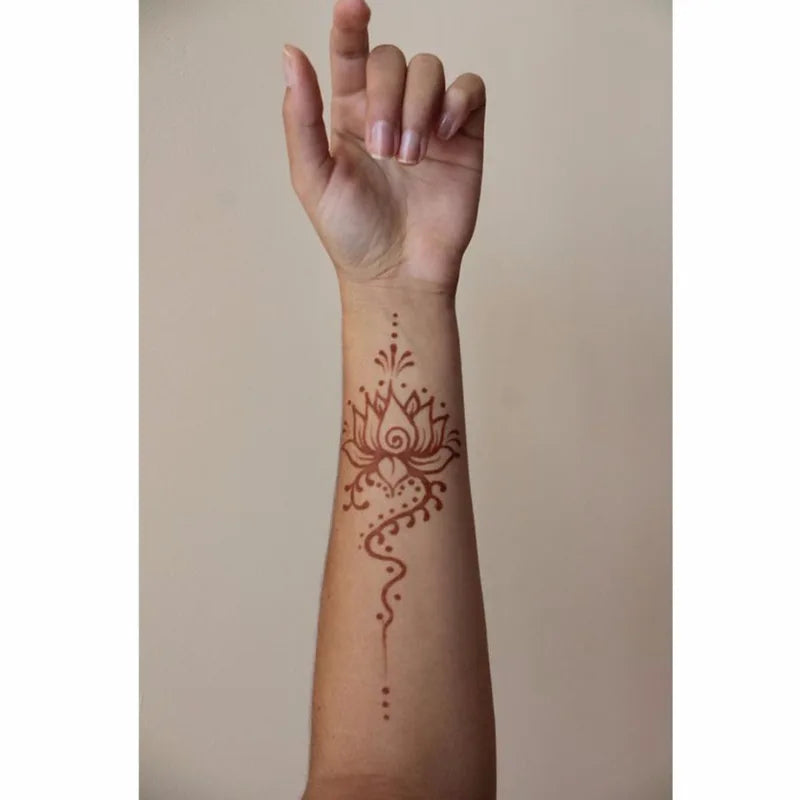 Henna Cones Body Art Temporary Tattoo Paste for Mehndi & Body Painting