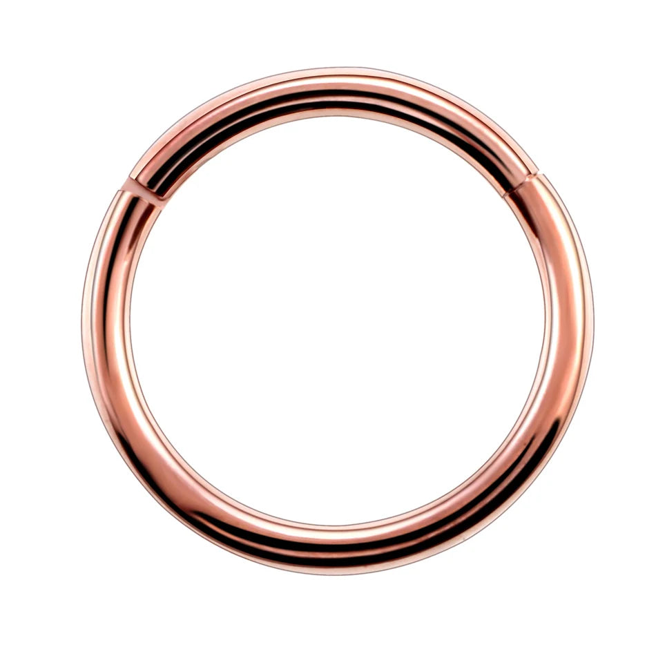 Titanium Septum & Nose Hoop Rings with Hinged Segment - Body Jewelry