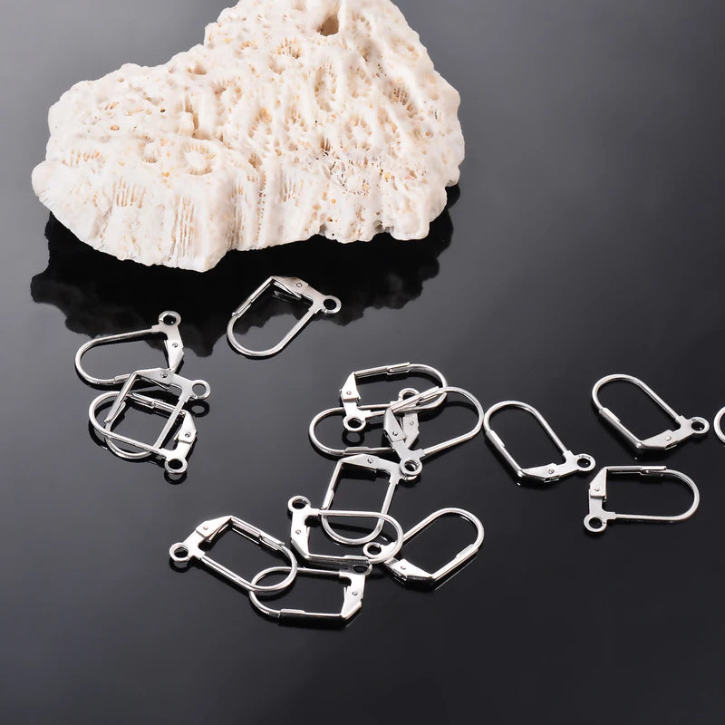 20Pcs Stainless Steel Earring Clasps Hooks for Jewelry Making - Men Women DIY Findings