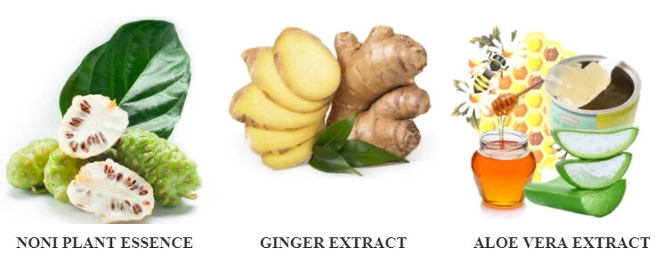 Fast Natural Hair Dye Shampoo - Black in 5 Minutes with Noni & Herbal Extracts
