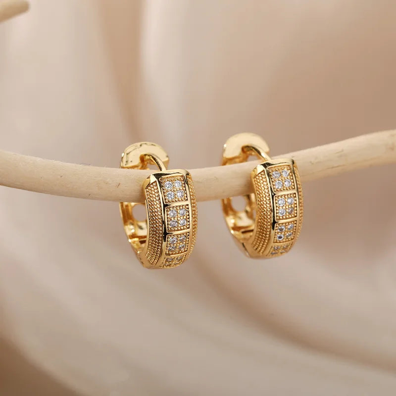 Stainless Steel Cubic Zirconia Hoop Earrings for Women Girls Party Jewelry