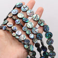 Natural Shell Beads Coin Jewelry Making Supplies 8mm 12mm 14mm - 5pcs Set