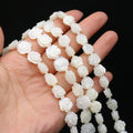 Natural Mother of Pearl Shell Rose Flower Beads - DIY Sea Shell Loose Beads for Jewelry Making - 10 Pack