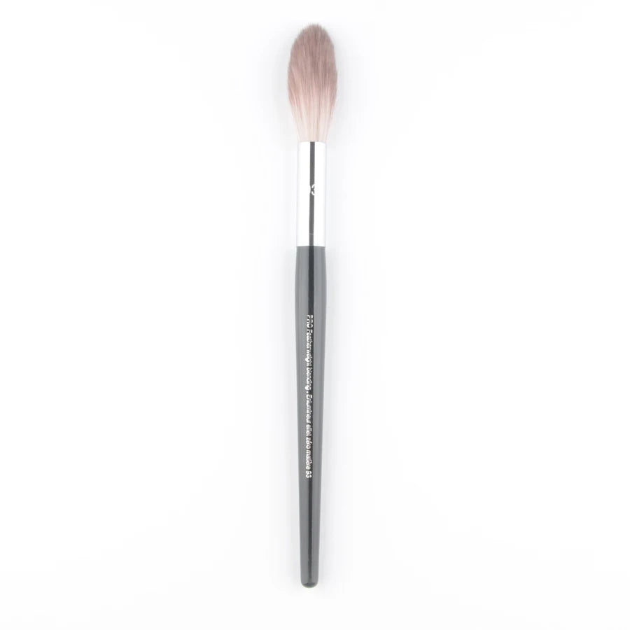 Professional Makeup Brush Set with Synthetic and Natural Hair for Face and Eyes
