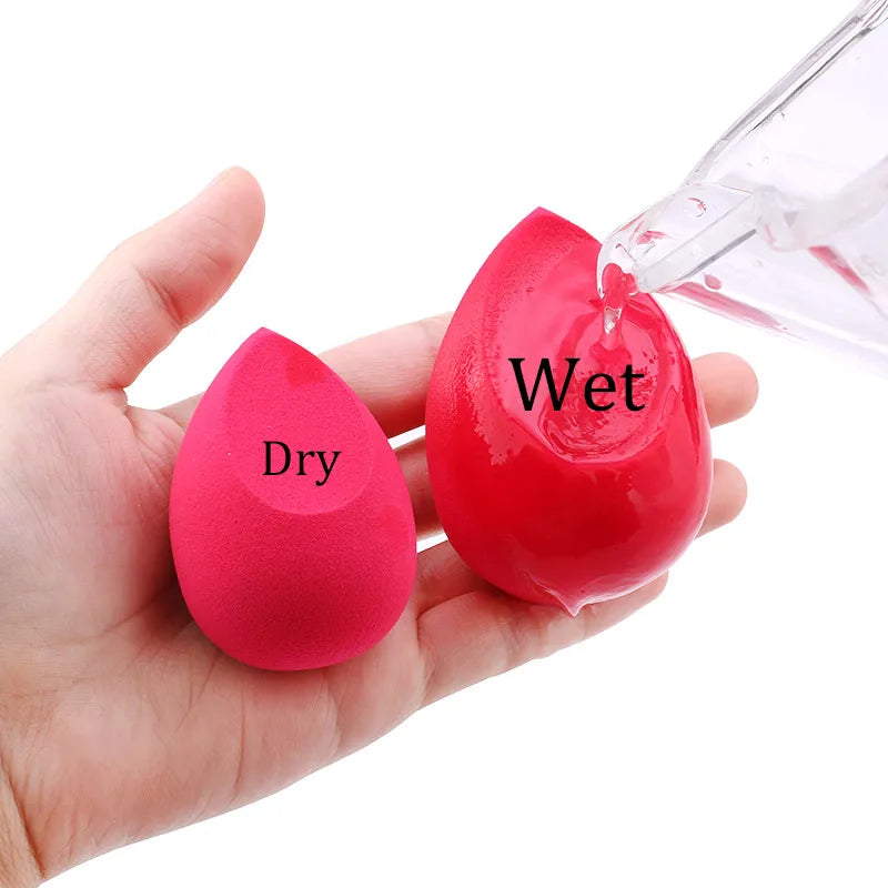 Makeup Sponge Set - Soft Cosmetic Blenders for Foundation & Powder - Multiple Colors
