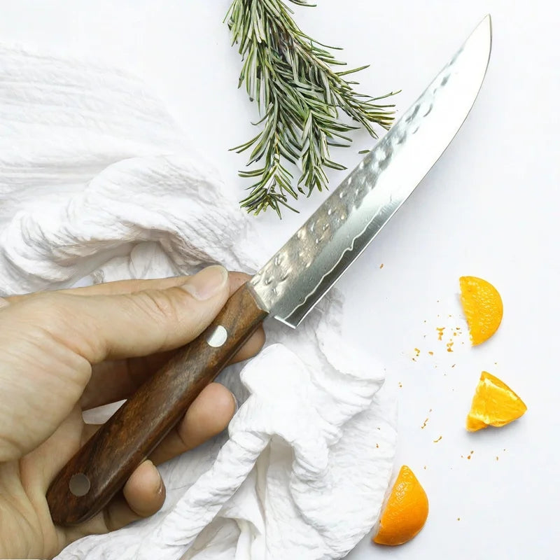Forged Damascus Steel Fruit & Boning Knife with Solid Wood Handle - 67 Layers Kitchen Tool