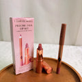 Makeup Lipstick & Lip Liner Set with Blush and Foundation - Natural Dewy Finish
