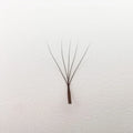 Supmacio Deep Brown 3D/4D/5D/6D Eyelash Extensions - Natural Soft Premade Fans