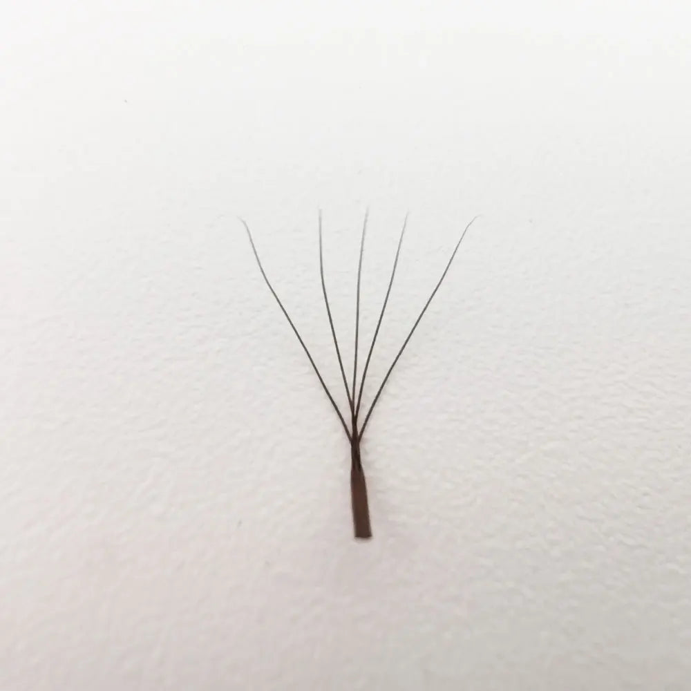 Supmacio Deep Brown 3D/4D/5D/6D Eyelash Extensions - Natural Soft Premade Fans