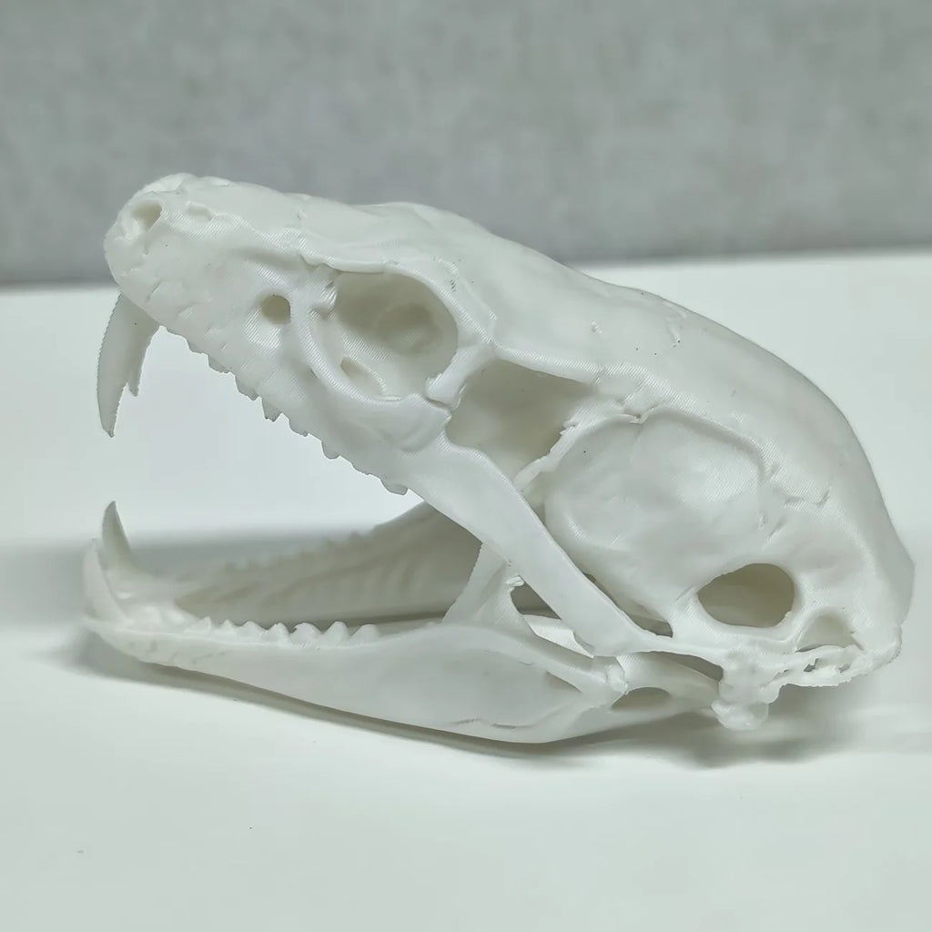 Terrifying Cobra Skull Statue Ornament - Cool Snake Skull Home Decor