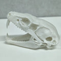 Terrifying Cobra Skull Statue Ornament - Cool Snake Skull Home Decor