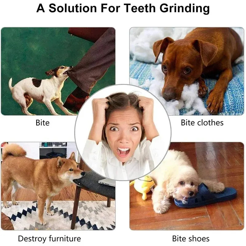 Durable Dog Toy Ball for Chewing and Dental Cleaning - Non-Toxic Pet Play