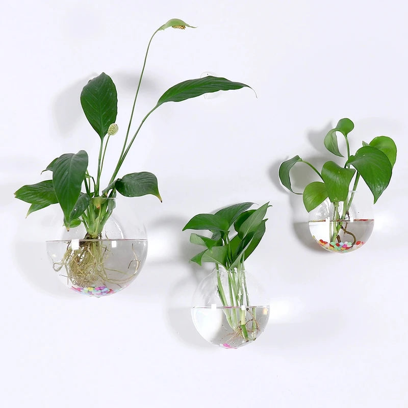 Wall Hanging Glass Terrarium with Self-Watering System - Handmade Round Crystal Vase
