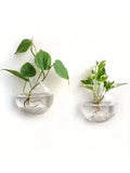 Wall Hanging Glass Terrarium with Self-Watering System - Handmade Round Crystal Vase