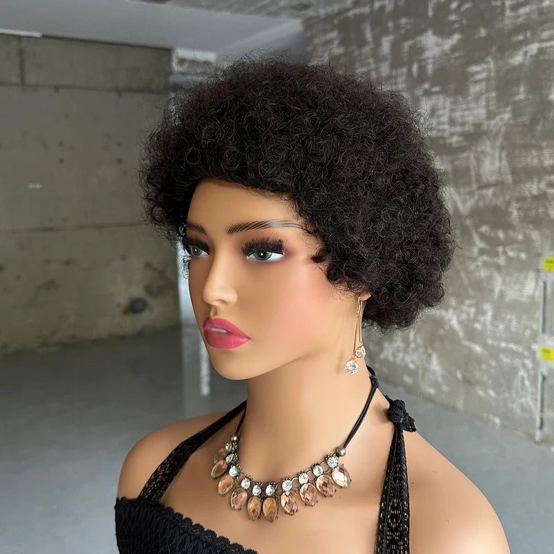 Short Afro Kinky Curly Human Hair Wigs for Women - Full Machine Made Wig