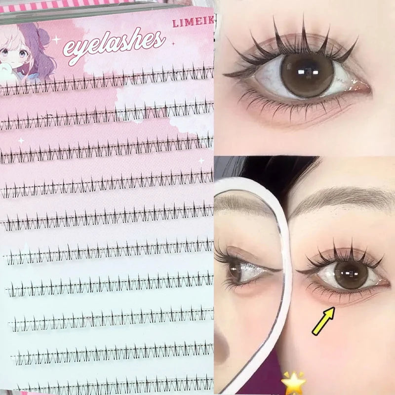 240 Clusters of False Eyelashes, Glue-Free, Natural Look, Soft Segmented Stems