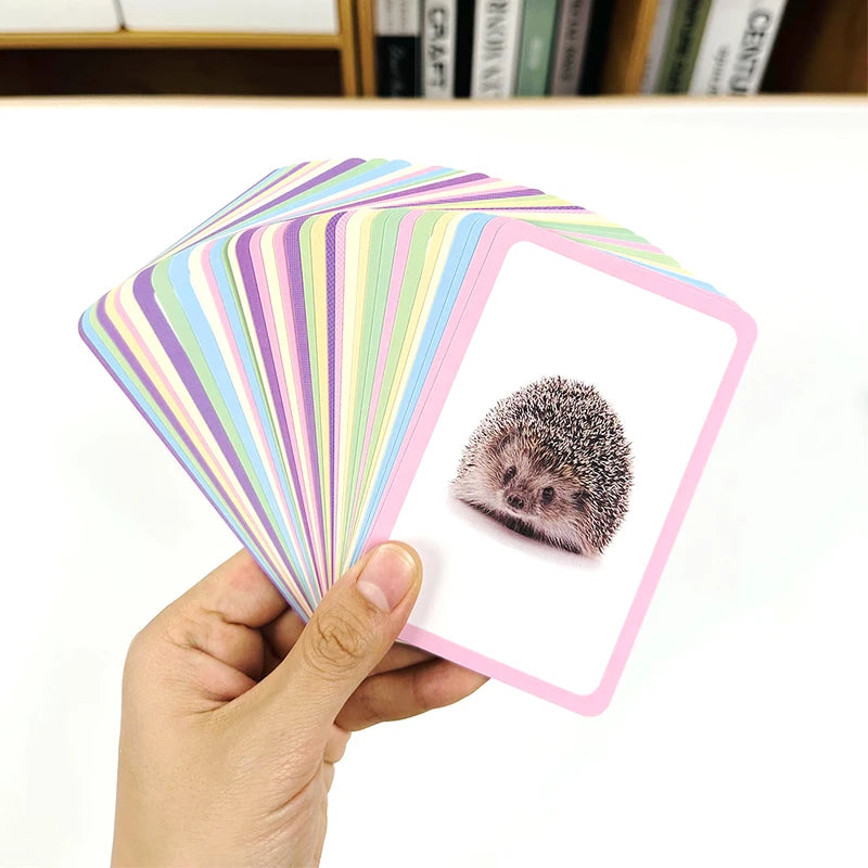 Double-Sided Animal Recognition Flash Cards for Kids Learning - 36 Pack