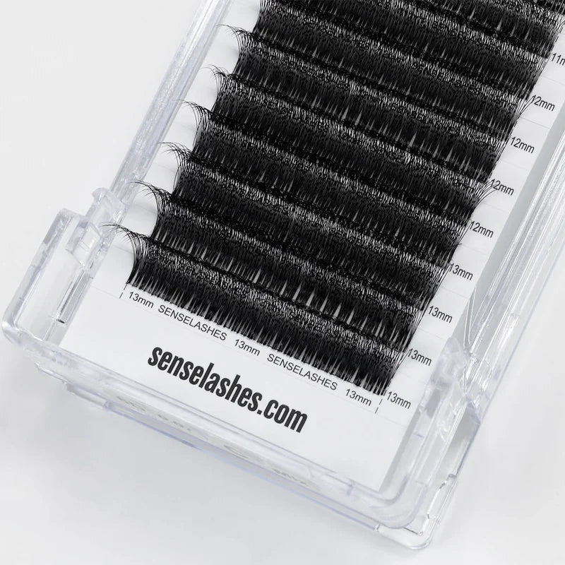 Eyelash Extension Fans - 10D Premade Volume Fans for Hybrid & Natural Looks
