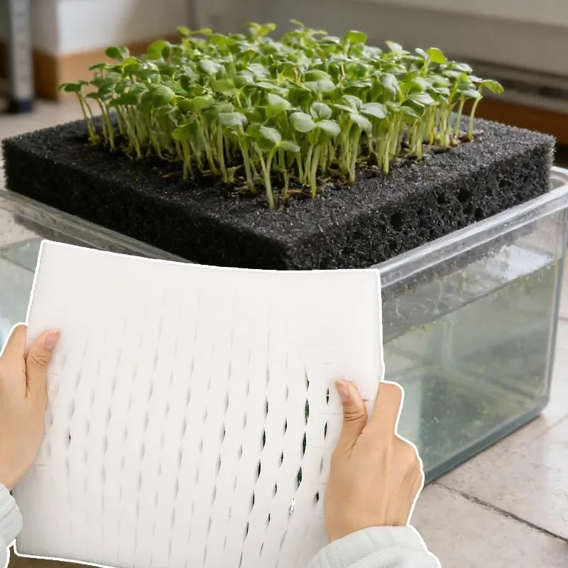 Plant Seedling Sponge Blocks - Hydroponic Grow Nursery for Soilless Cultivation
