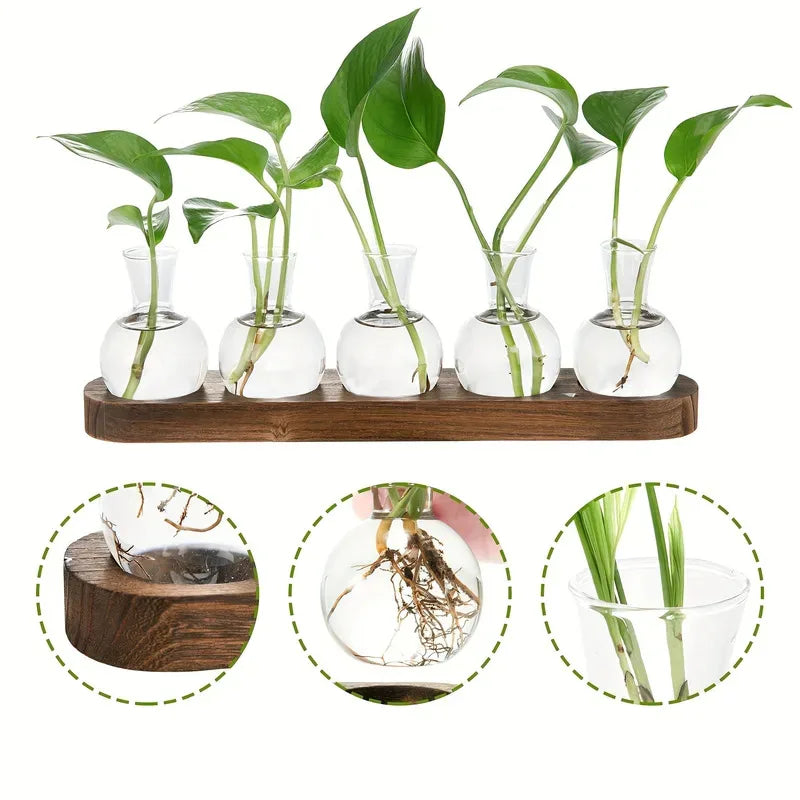 Glass Terrarium with Wooden Tray for Indoor Plants and Propagation