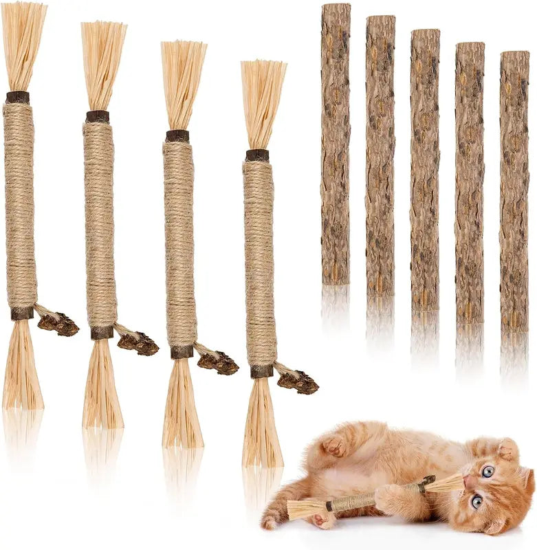 Silvervine Cat Chew Sticks Set - Natural Cat Toys for Dental Care & Play