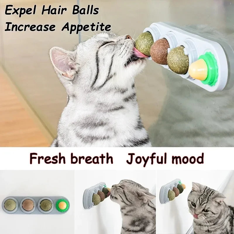 4-in-1 Rotating Catnip and Silver Vine Toy for Cats - Teeth Cleaning & Digestive Health