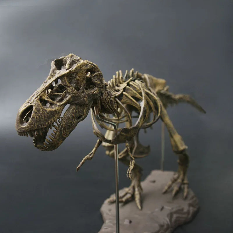 Large Dinosaur Skeleton Toy Model for Kids - DIY Fossil Skeleton Decoration