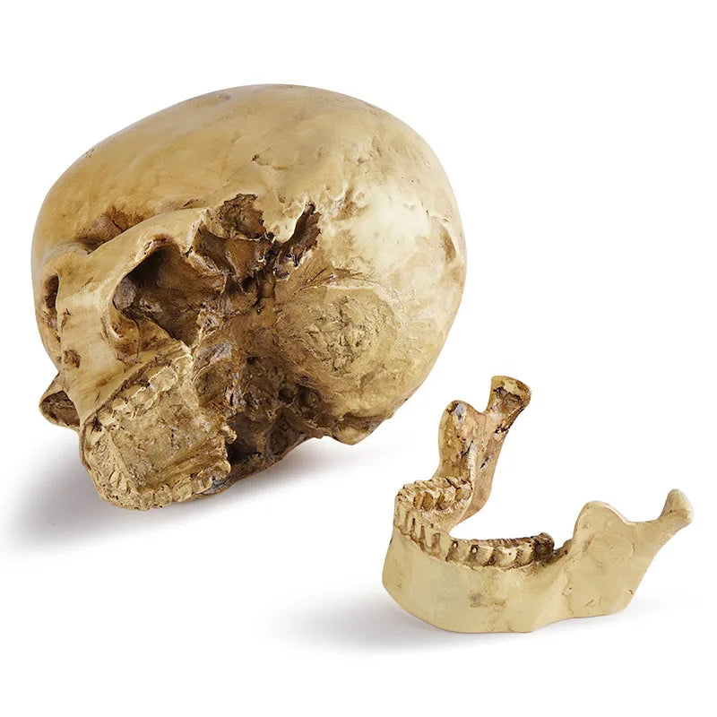 Resin Skull Decor Halloween Centerpiece Gothic Horror Party Decoration