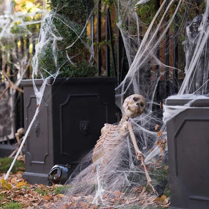 Halloween Spider Web Decoration Artificial Cobweb with Spider for Haunted House