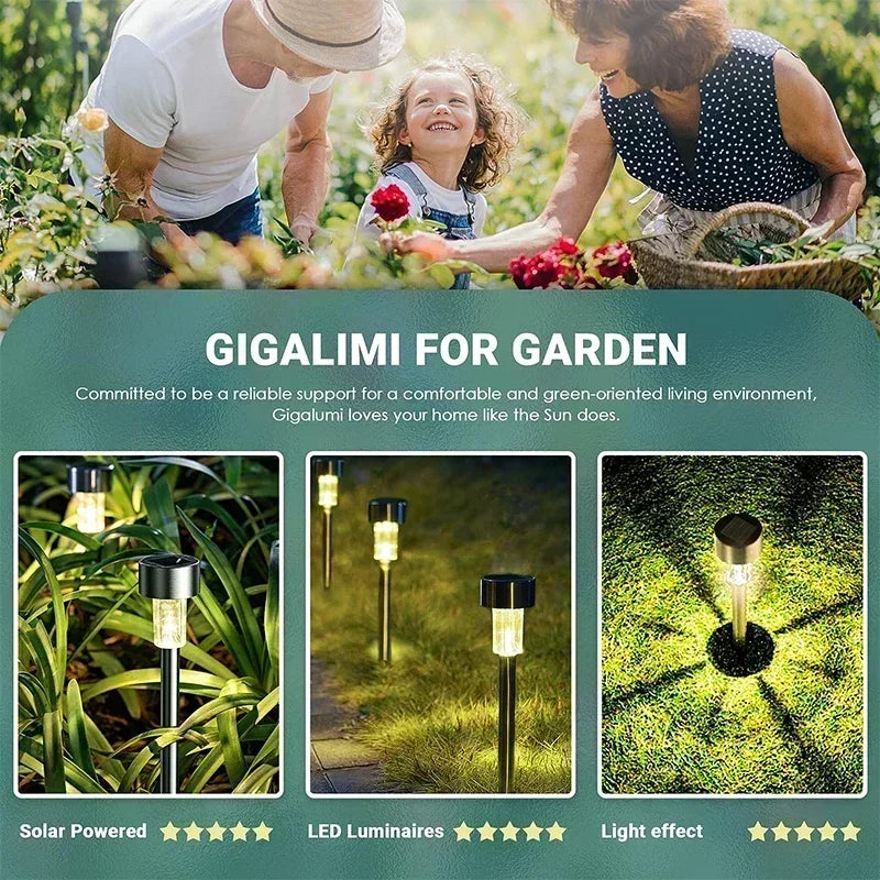 Solar Outdoor Pathway & Garden Lights Waterproof LED Landscape Lighting 10/20/30-Pack
