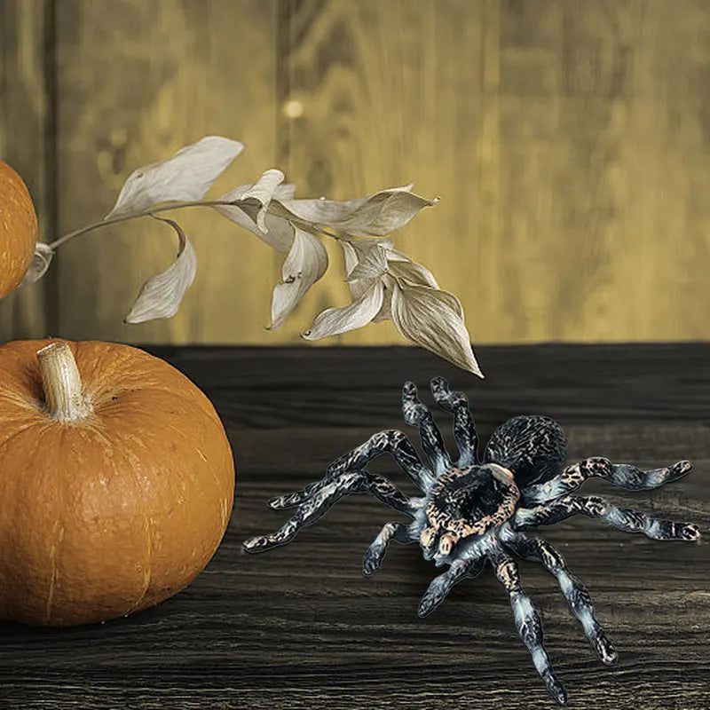 Realistic Spider Prank Toy Set Halloween Decoration Home Decor Trickster Insect